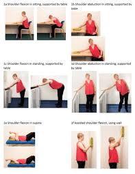 Image result for Shoulder Range of Motion Exercises