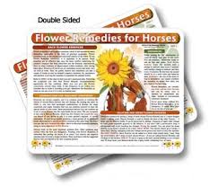 Horse Equine Flower Essence Chart Soothers