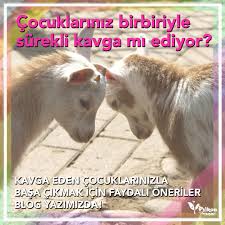 Kavga Eden Cocuklarinizla Basa Cikmak Icin Faydali Oneriler Psikon Cocuk Pedagogu Ergen Psikologu Konya Cocuk Fiziksel Egitim Ebeveyn Olmak