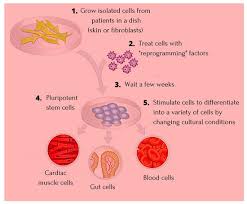 Maybe you would like to learn more about one of these? Yn329va5dmlh8m