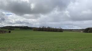 Cranmer Estate, Norfolk