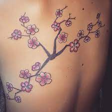 In asian cultures, cherry blossoms are thought to symbolize feminine beauty. 150 Cherry Blossom Tattoos Meanings Ultimate Guide 2021