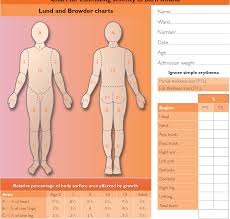 Pdf A Critical Evaluation Of The Lund And Browder Chart