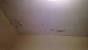 Popcorn Ceiling Black Mold In Bathroom Ceiling
