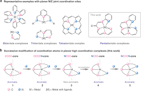Type of ligand in the complex ion. Successive Modification Of Polydentate Complexes Gives Access To Planar Carbon And Nitrogen Based Ligands Nature Communications
