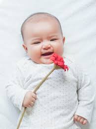 326 arti nama bayi bunga dibawah ini berasal dari asal bahasa arab, amerika, mesir, hawaii, sansekerta, swahili, mitologi, ibrani, cina, yunani, latin, india. 1 Sklhgme7gem