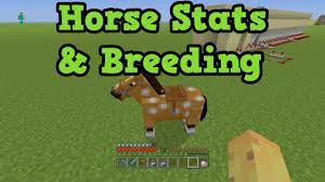 Minecraft Xbox One Ps4 Fastest Horse Guide Breed The Best Horse Faster Horses Ps4 Or Xbox One Breeds
