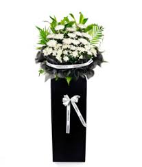 We did not find results for: Funeral Flowers Singapore Funeral Wreaths Singapore Angel Florist
