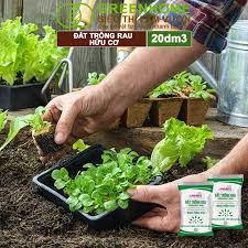 Đất Trồng Rau, Hữu Cơ, Chuyên Các Loại Rau, Củ, QuảSiêu thị làm vườn  Greenhome