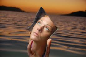 Surviving Photography — Springbok Photography