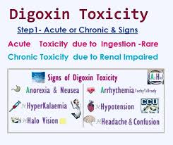 Image result for Digoxin Toxicity