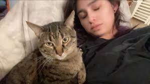 Lost dog near Winnebago and State Ave