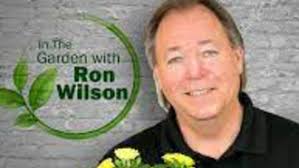 Ron Wilson