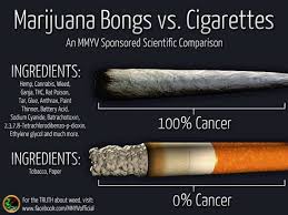 We did not find results for: Smoke Weed Everyday