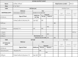 Learn how to calculate the intake and output (i and o) record.what is intake. The Intake Output Chart Health Care Service Delivery