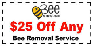 Waterman ave., san bernardino, ca 92408. Bee Removal Specialists In San Bernardino Ca Cityof Com