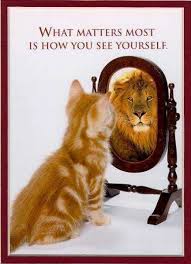 How You See Yourself Life Quotes Quotes Cute Positive Quotes Animals Quote Cat Tiger Life Quote Positive Quote Inspiring Kitten Funny Animals Animals Cute Cats