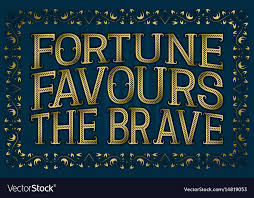 Fortune Favours The Brave English Saying Vector Image
