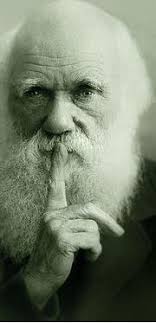 A Taste for the Beautiful