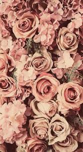 Super Flowers Background Iphone Wallpapers Wall Papers Ideas Vintage Flower Backgrounds Flower Background Wallpaper Flower Background Iphone