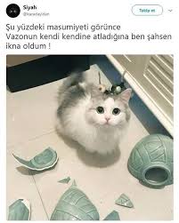 Mizah Komik Komik Seyler Komik Capsler Komik