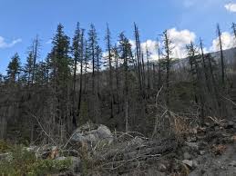 Mar 21, 2021 · librivox about. What Happened To The Brutal 2019 Wildfire Summer We Expected In B C Vancouver Is Awesome