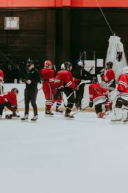 Saint Andrews Teen Earns Provincial Bantam Aaa Hockey Scoring Title - The  Saint Croix Courier