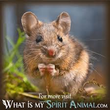 A dream about mice chewing on some valuable things in your dream is a bad sign and foretells loss of if you saw a cat catching a mouse in your dream, such a dream might be a sign of you, having to deal with some annoying issues in your relationship. What Does Dreaming About A Mouse Symbolize What Is My Spirit Animal Spirit Totem Power Animals