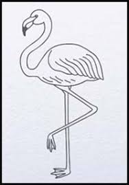 Learn how to draw a flamingo with this easy and simple step by step drawing tutorial. How To Draw Cartoon Flamingos Realistic Flamingos Drawing Tutorials Drawing How To Draw Flamingos Drawing Lessons Step By Step Techniques For Cartoons Illustrations