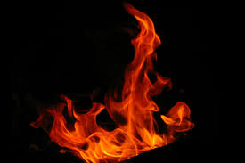 Garena free fire pc, one of the best battle royale games apart from fortnite and pubg, lands on microsoft windows so that we can continue fighting for survival on our pc. Dangerously Invested Inside The Fire Movement Professional Planner