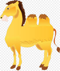 Most horse and camel feed is made up of grains and grasses. Camel Horse Png Download 1241 1448 Free Transparent Camel Png Download Cleanpng Kisspng