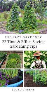 The Lazy Gardener 22 Time And Effort Saving Gardening Tips Organic Vegetable Garden Gardening Tips Organic Gardening Tips
