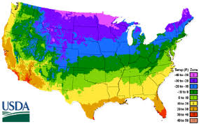 Zone 6 Vegetable Planting Guide Marys Heirloom Seeds