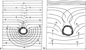 Maps And Mapmaking Marshall Island Stick Charts Springerlink