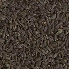 Ace Songbird Black Oil Sunflower Seed Wild Bird Food 20 Lb In 2021 Black Sunflower Seeds Black Oil Sunflower Seeds Sunflower Seeds