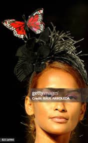 246 Raul Toro Stock Photos, High-Res Pictures, and Images