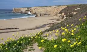 Bonny Doon Beach in Santa Cruz, CA - California Beaches