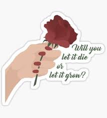 stickers sur le theme shawn mendes autocollant fond d ecran colore stickers