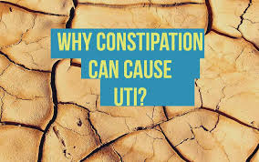 Maybe you would like to learn more about one of these? 4 Main Reasons Why Constipation Causes Uti Stop Uti Forever