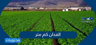 الفدان كم متر وكيلو وهكتار يساوي موقع محتويات