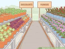 How To Start A Plant Nursery Business Landscape Nursery Plants Plant Nursery