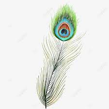 Gambar Bulu Merak Hijau Burung Burung Bulu Merak Bulu Hijau Png Transparan Clipart Dan File Psd Untuk Unduh Gratis In 2021 Digital Art Photography Peacock Feather Peacock Green
