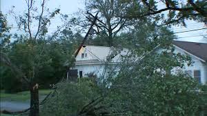 Hurricane Laura snaps trees and power poles in Orange Texas - ABC13 Houston