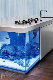 ocean kitchen aquarium island