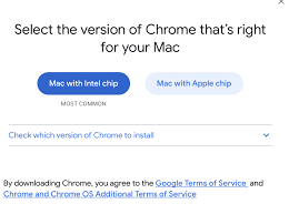 Users enjoy its fast loading spe. Correct Way To Install Google Chrome On Apple M1 Chip Big Sur 5 Balloons
