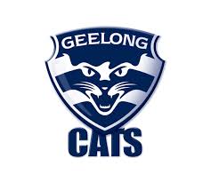 This website accompanies our team app smartphone app available from the app download team app now and search for geelong cats to enjoy our team app on the go. If There S One Word To Sum Up Geelong Football Club Over The Last 5 10 Years It S This Word Consistency Geelong Cats Geelong Football Club Geelong Football
