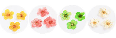 Questa foto è una foto di fiori, fiori secchi, flora. Fiori Secchi Nail Art Stile Autunnale