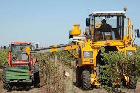 Studiile in domeniu constituie un avantaj. Spaniolii CautÄ 800 De Muncitori NecalificaÈi In AgriculturÄ