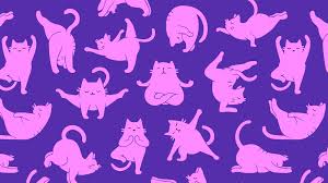 Feel free to share with your friends and family. Wallpaper 4k Yoga Cat Pattern
