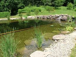 Comment Construire Une Piscine Naturelle Et Ecologique En 10 Etapes Eco Ecolo Pour Ecologie Bien Etre Bio Et La Sante Au Naturel